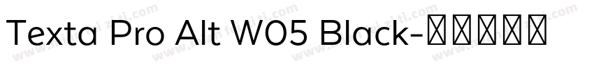 Texta Pro Alt W05 Black字体转换